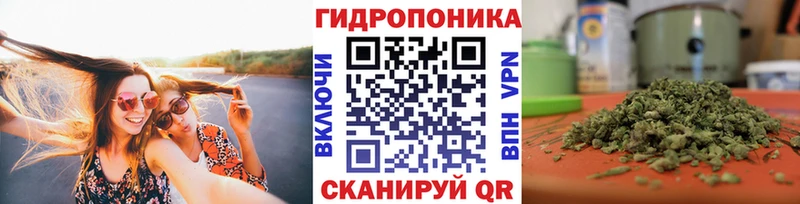 кракен tor  Новый Оскол  Бошки марихуана Ganja 
